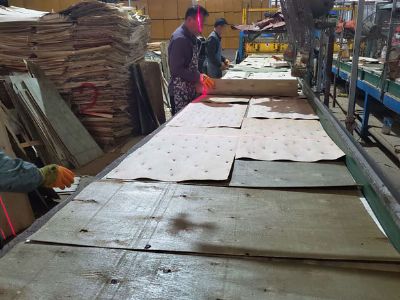 膠合板排版車(chē)間